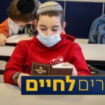 קבינט הקורונה הצביע פה אחד על תוכנית הפעימות לפתיחת המשק | כל הפרטים