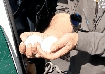 צילום: חנוך טל רשות הטבע והגנים /דוברות המשטרה