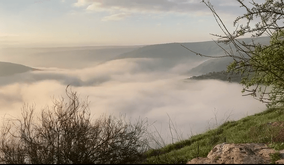 ערפל בוואדי: מחזה מיוחד הבוקר בנחל תבור | צפו