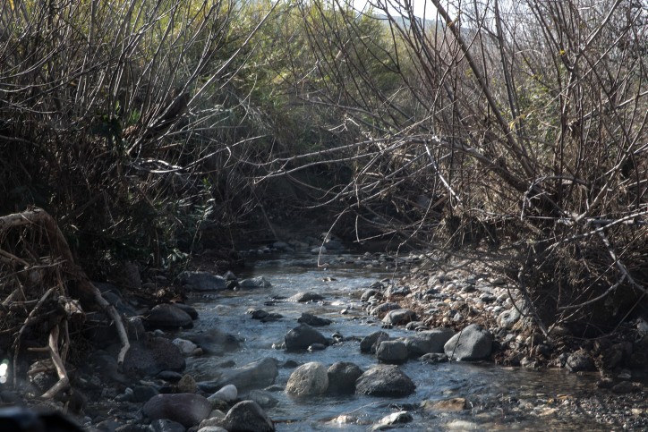 גם היום: עשרות אלפים בשמורות הטבע ובגנים הלאומיים