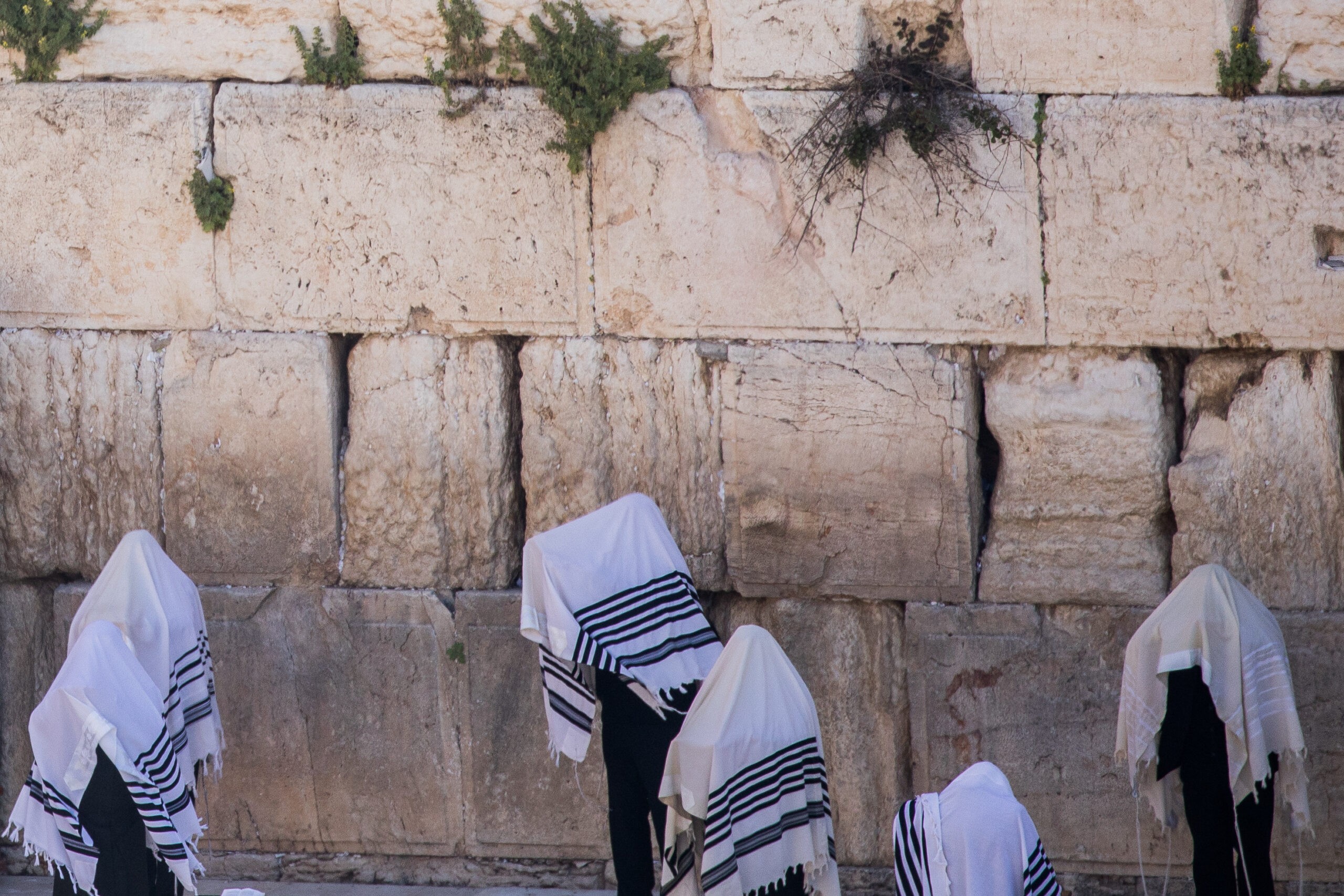 ברכת הכהנים המסורתית בכותל המערבי | הצטרפו לשידור החי