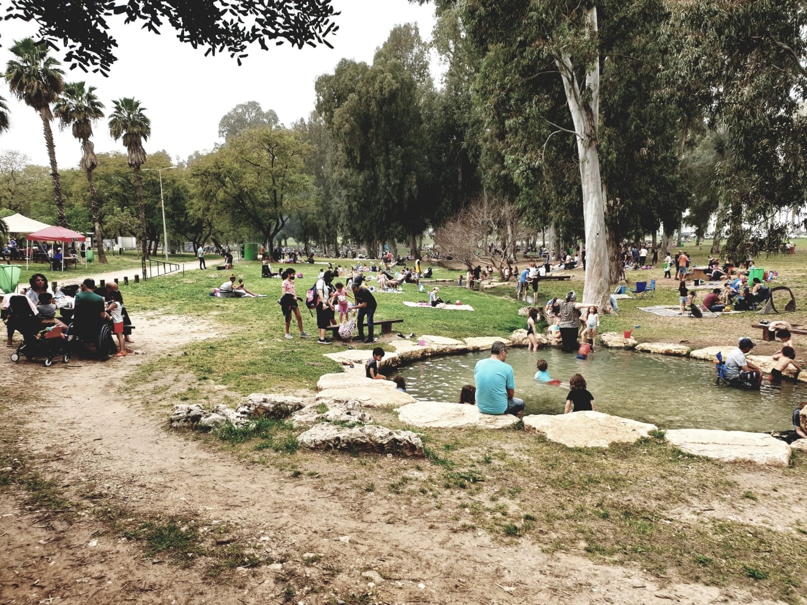 מאות אלפיי מטיילים פקדו היום את שמורות הטבע