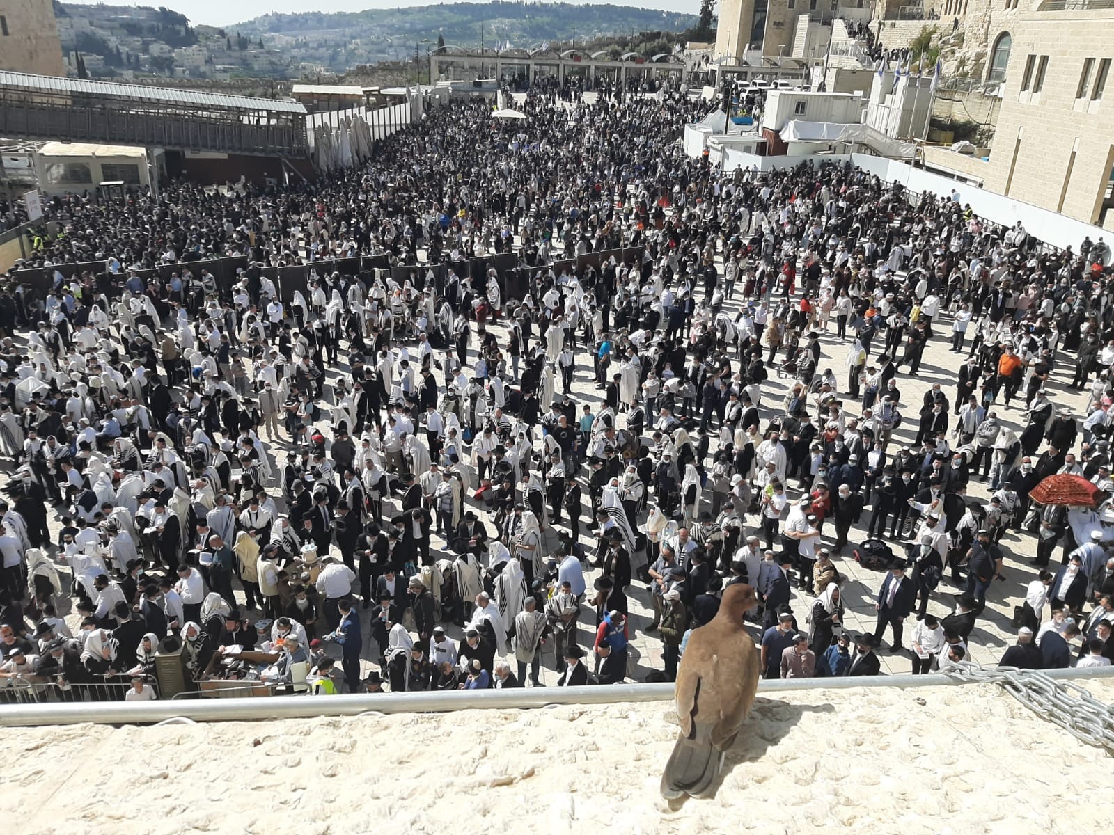 עצרת תפילה מיוחדת בכותל במחאה על הקמת ממשלת השמאל