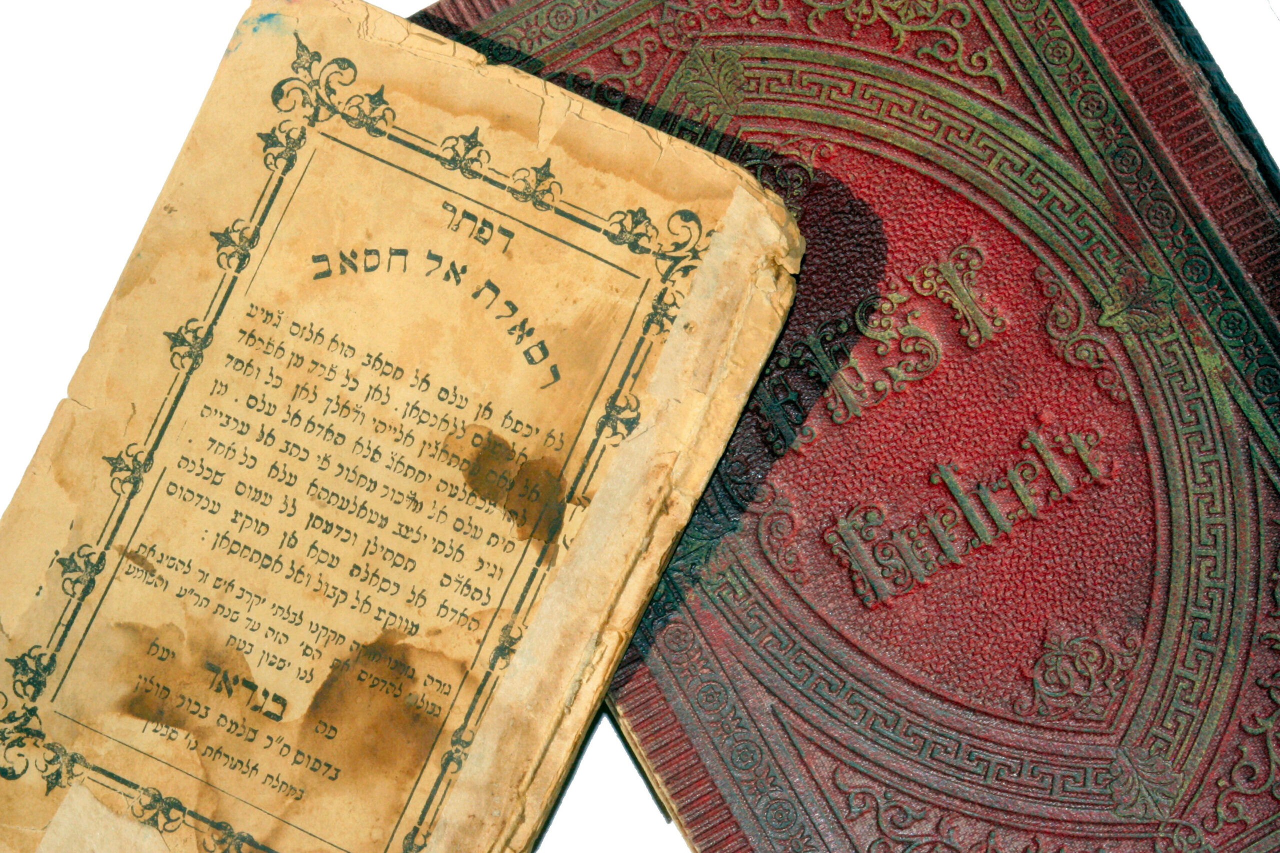 צילום: שאטרסטוק