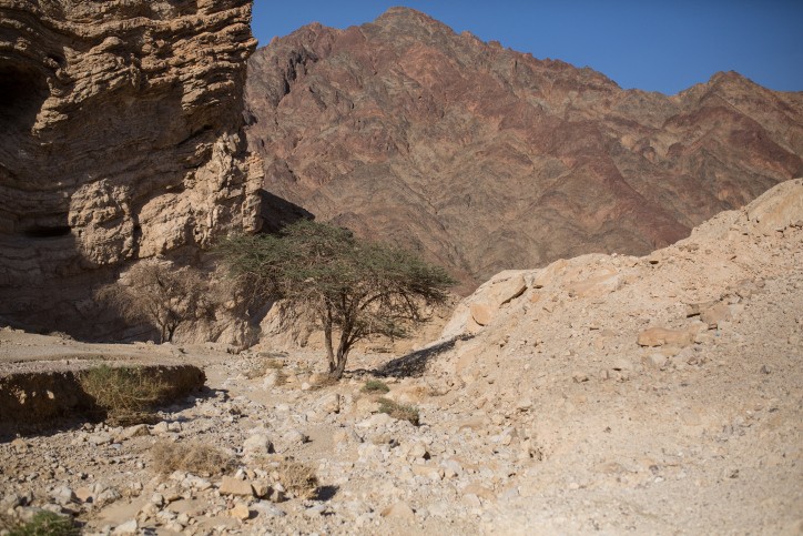 חם, מתחמם, לוהט | תחזית מזג האוויר
