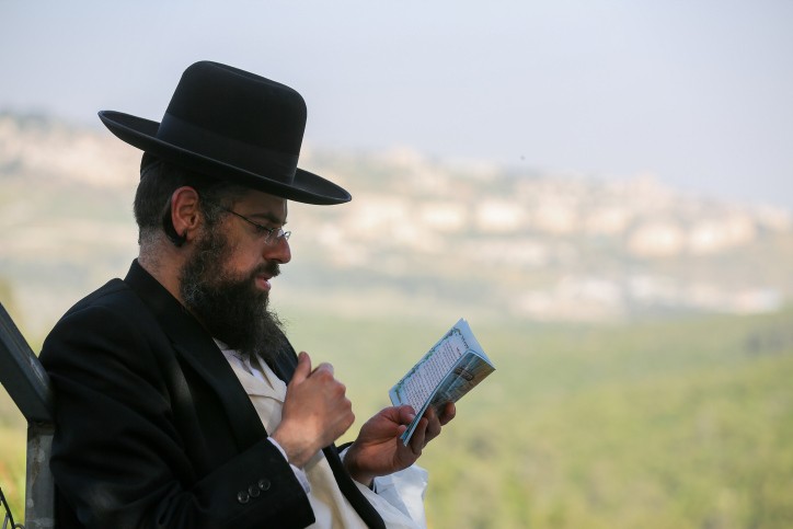 צילום: דוד כהן פלאש 90