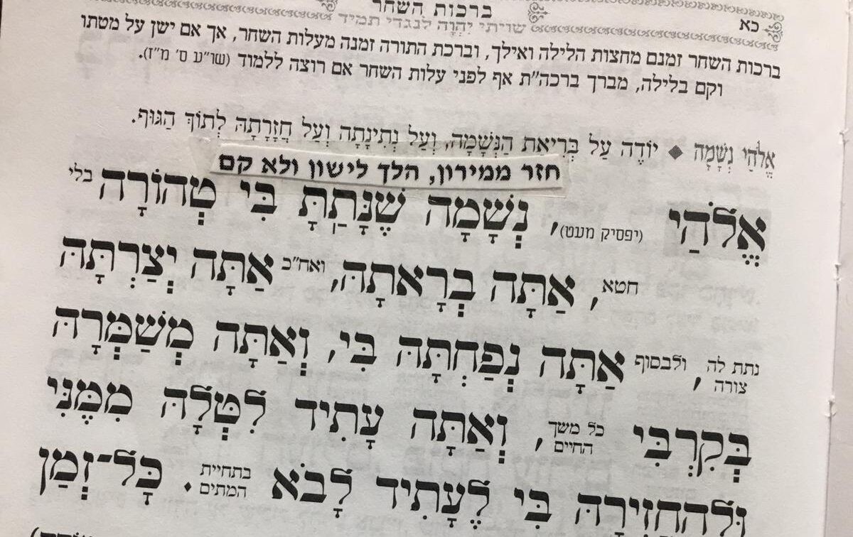 יהונתן ז"ל כתב על מירון בסידור התפילה