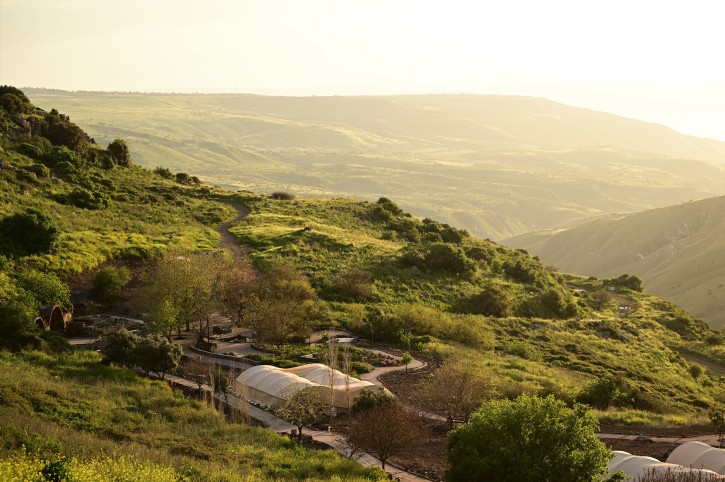הפוגה בעומס החום, אבל זמנית | תחזית מזג האוויר