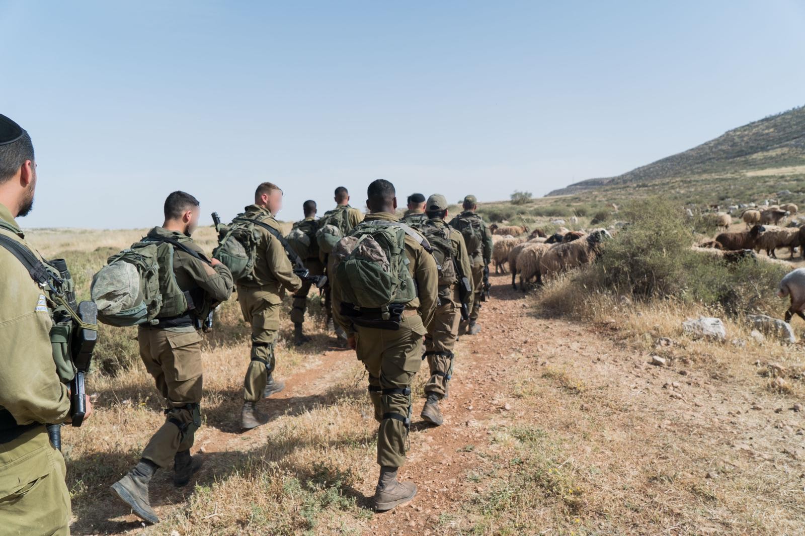 צביקה פוגל על הדיפת מפגין השמאל: "מרתיח לראות את התמונות"