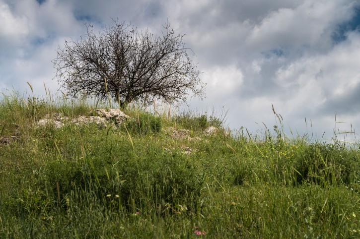 התחזית: השרב נשבר, החום עדיין כאן