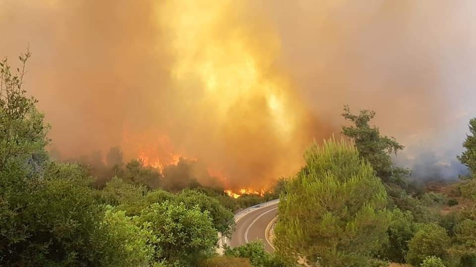 המומחה מסביר: זו הסיבה לשריפות בימים האחרונים