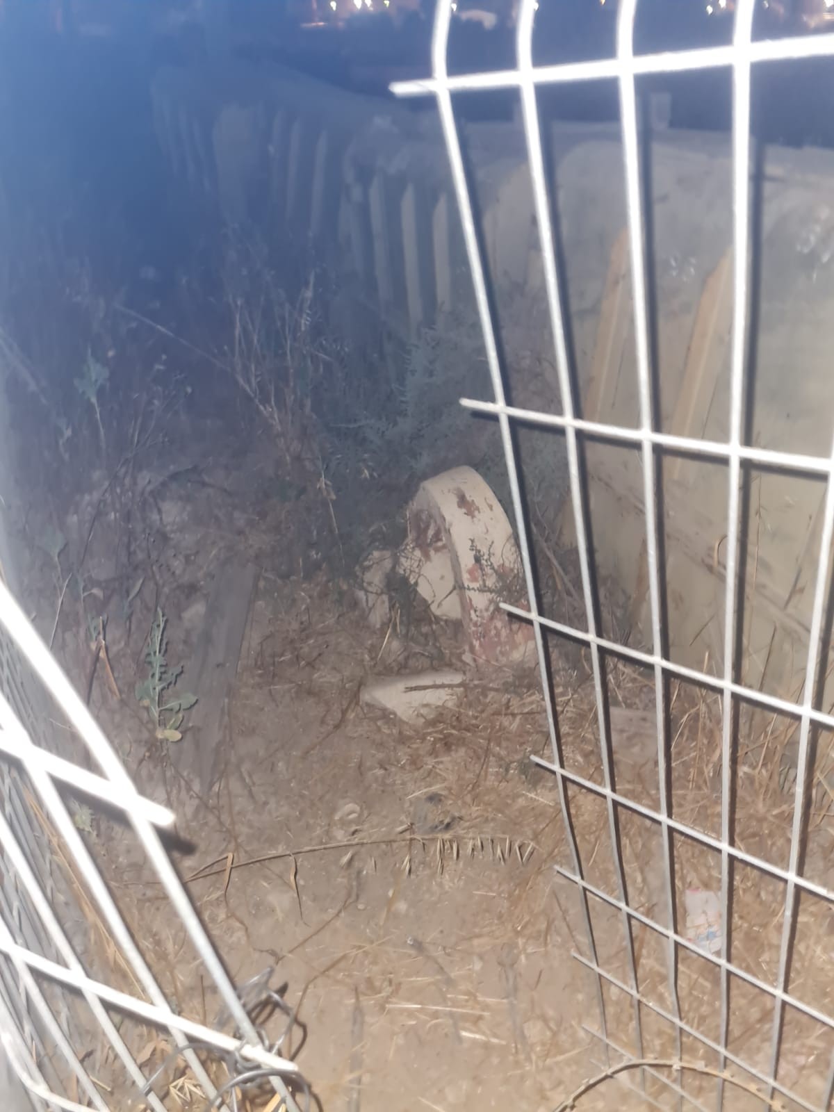ארבעה בדואים שנתפסו במהלך פריצה לבסיס בדרום תקפו את השוטרים