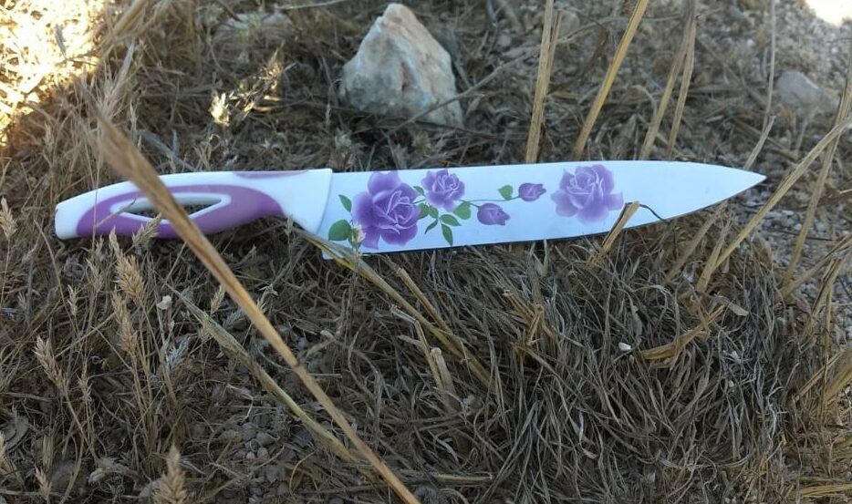 מחבל חמוש חדר ליצהר ונוטרל - אין נפגעים