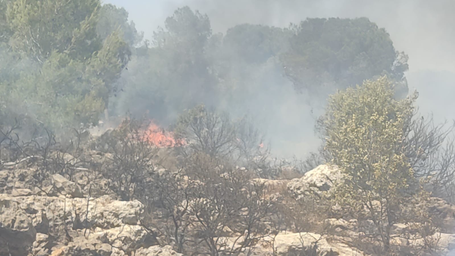 שריפת יער גדולה בין צור הדסה לביתר עילית