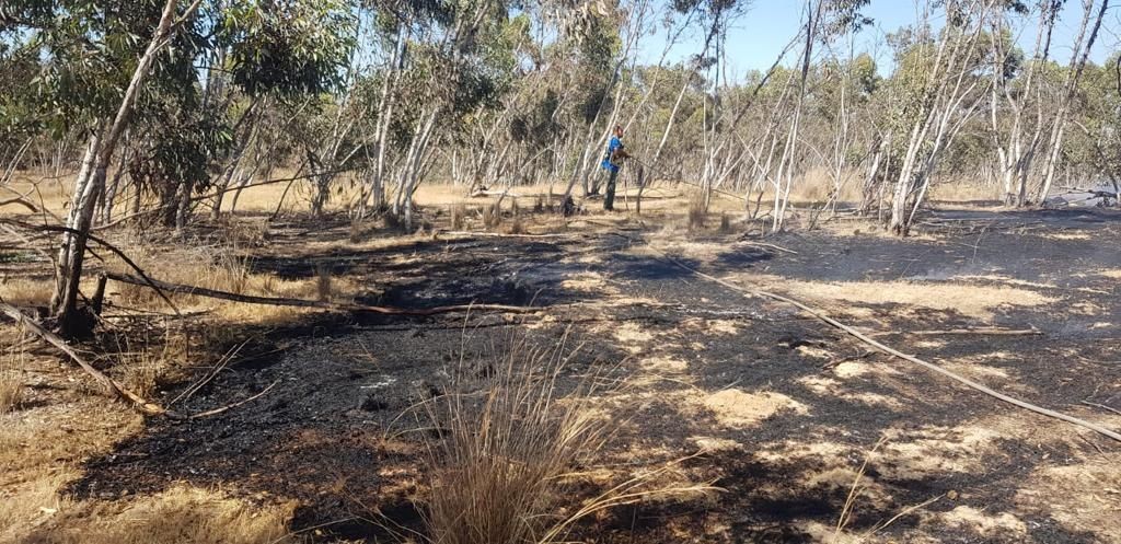 טרור הבלונים: יום שלישי ברצף של שרפות בעוטף כתוצאה מבלונים