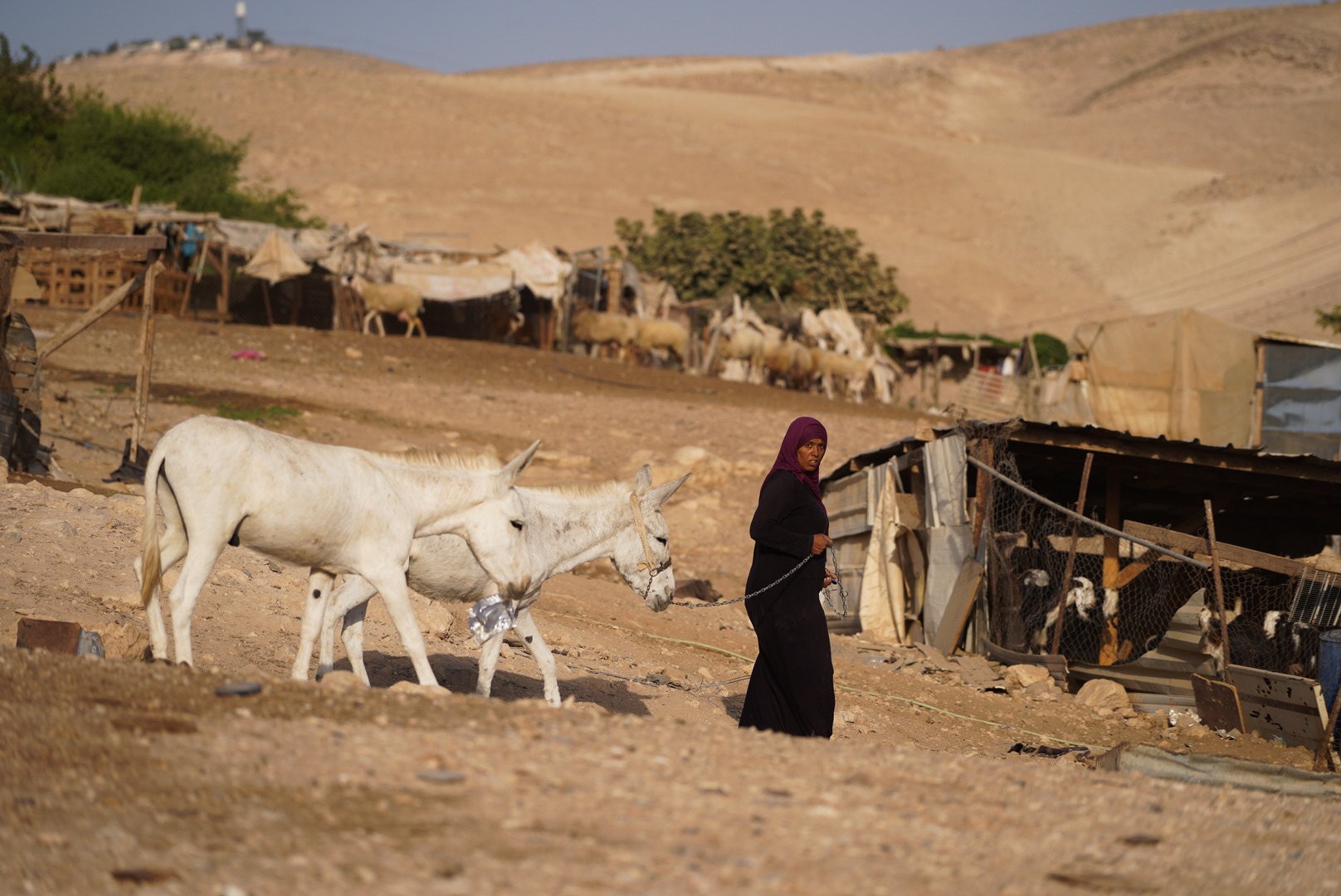 השתלטות הבדואים על שטחי c: "בדרך לעוד חאן אל אחמרים"