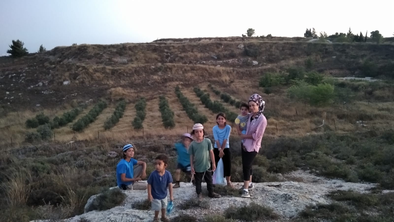 בפסק בג"ץ: נעקרו מטעים חקלאיים שנותרו בעמונה לאחר הפינוי