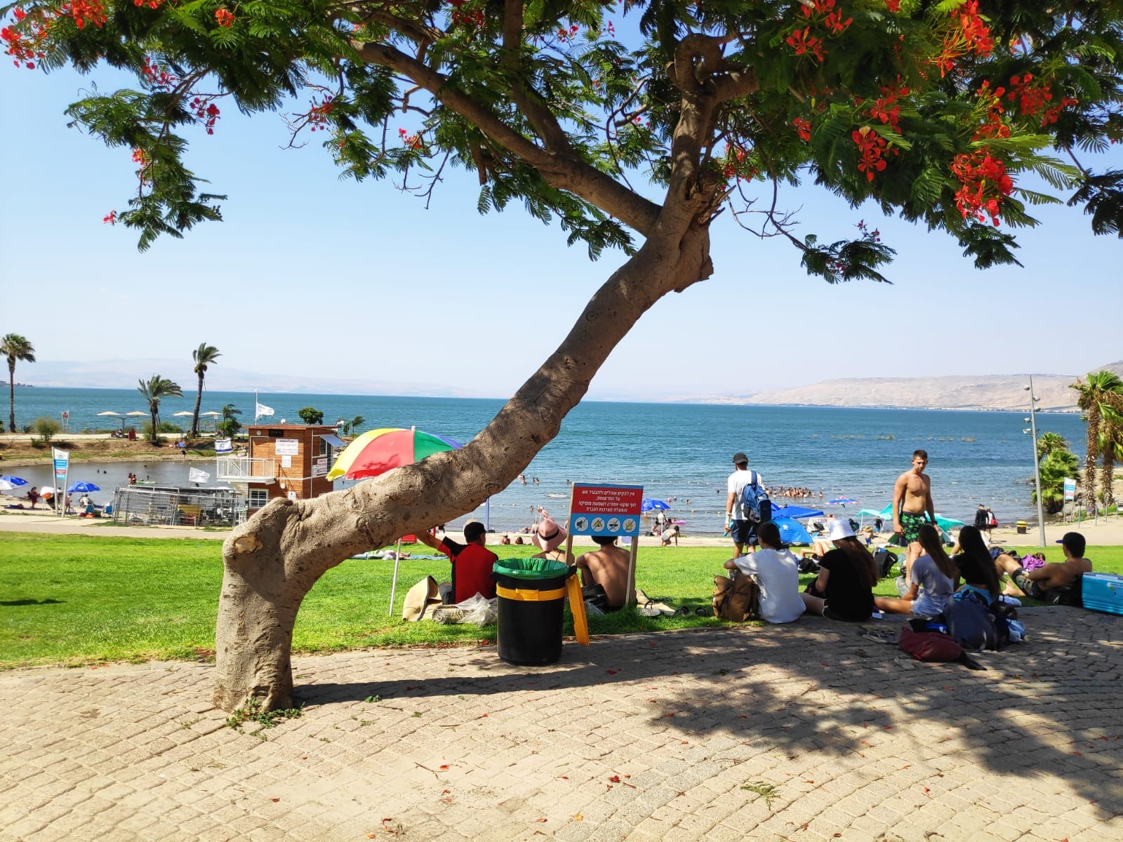 צילום טלי בר איגוד ערים כינרת