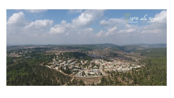 פנינה בלב העיר-מתחם אירוח גדול ומפנק למשפחות, זוגות וקבוצות