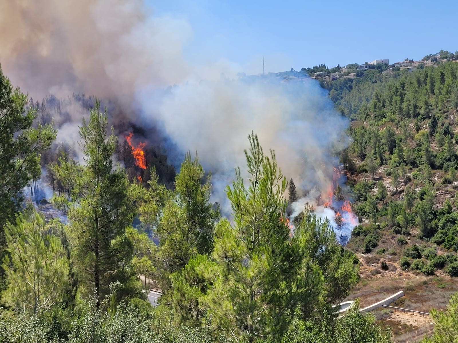 נציב הכבאות: הדליקה בהרי ירושלים - מעשה ידי אדם