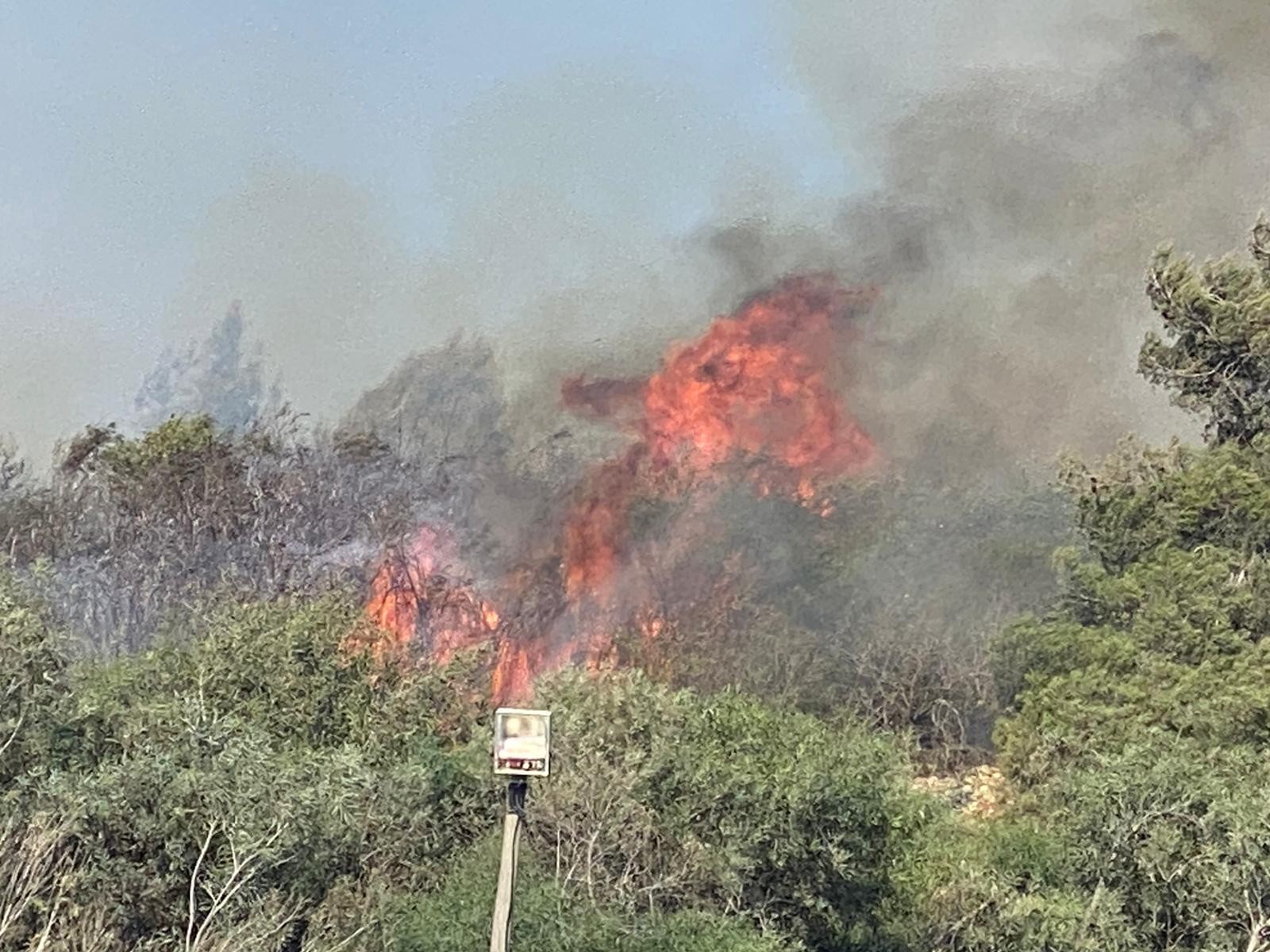 הושגה שליטה על שריפת הענק סמוך לישוב בית-אל ביו"ש