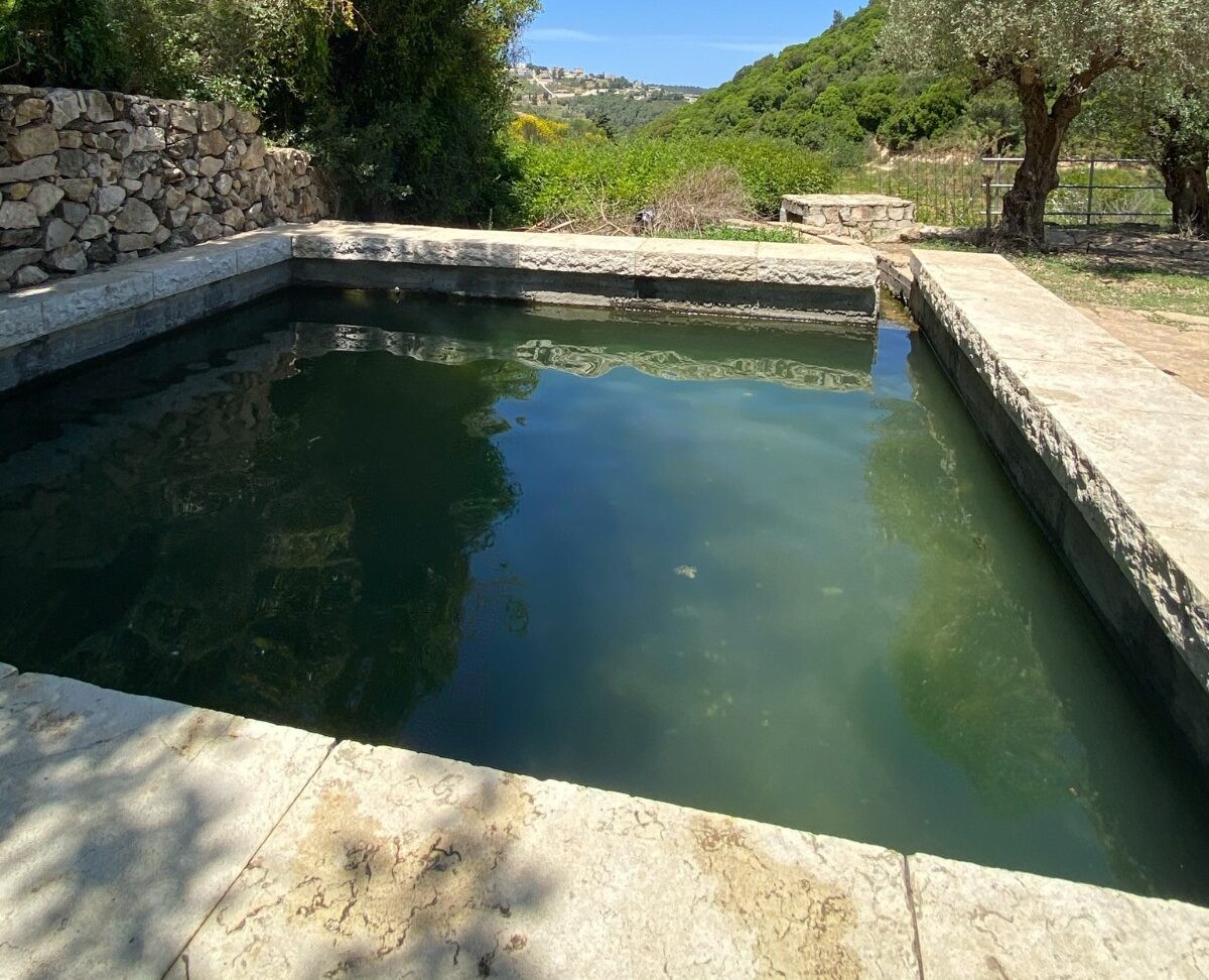 המלצה חמה: 5 מעיינות ונחלים נגישים שחובה להכיר