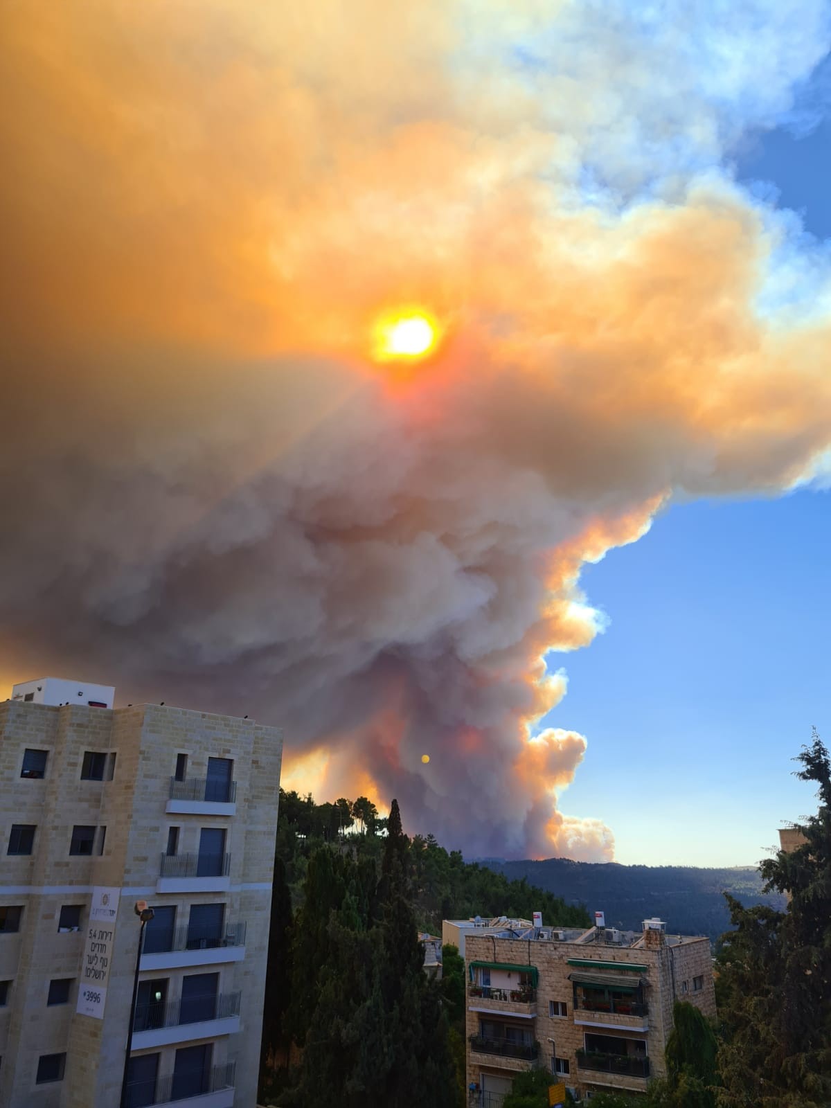 צילום: שרון אליאסיאן