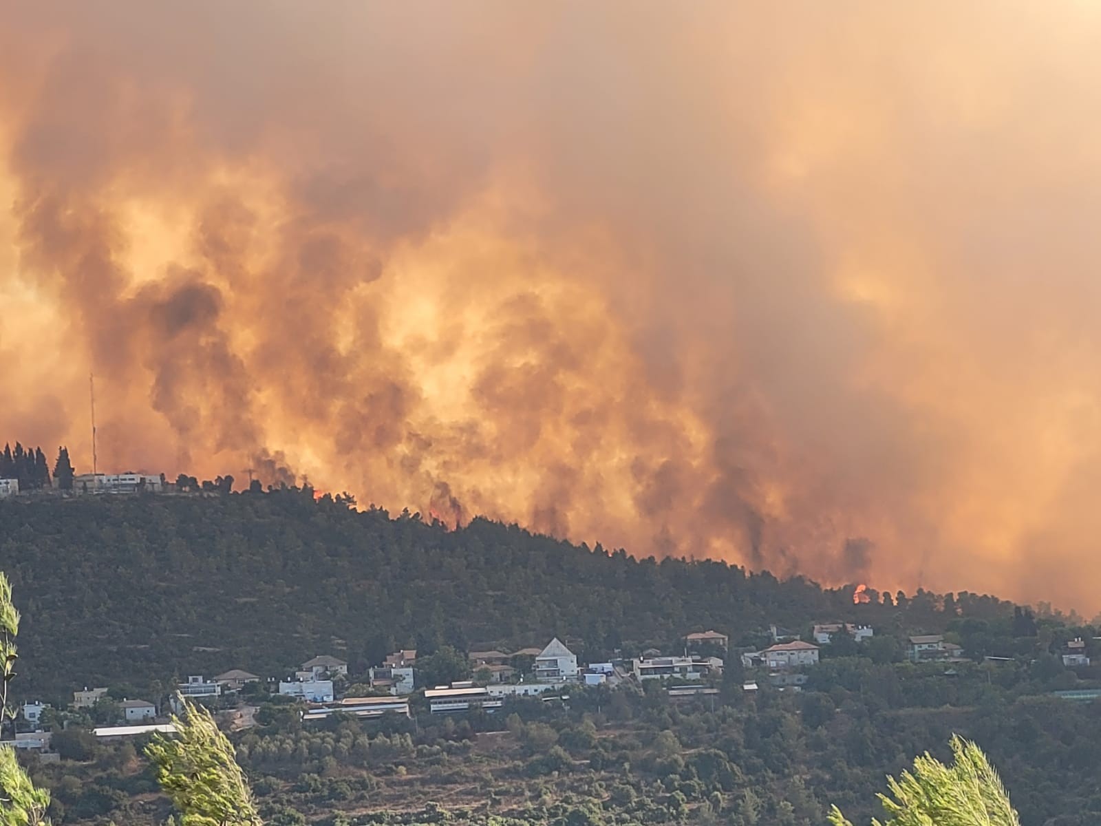תושב מבית מאיר: אין ספק שבדואים מהנגב הציתו את השריפה
