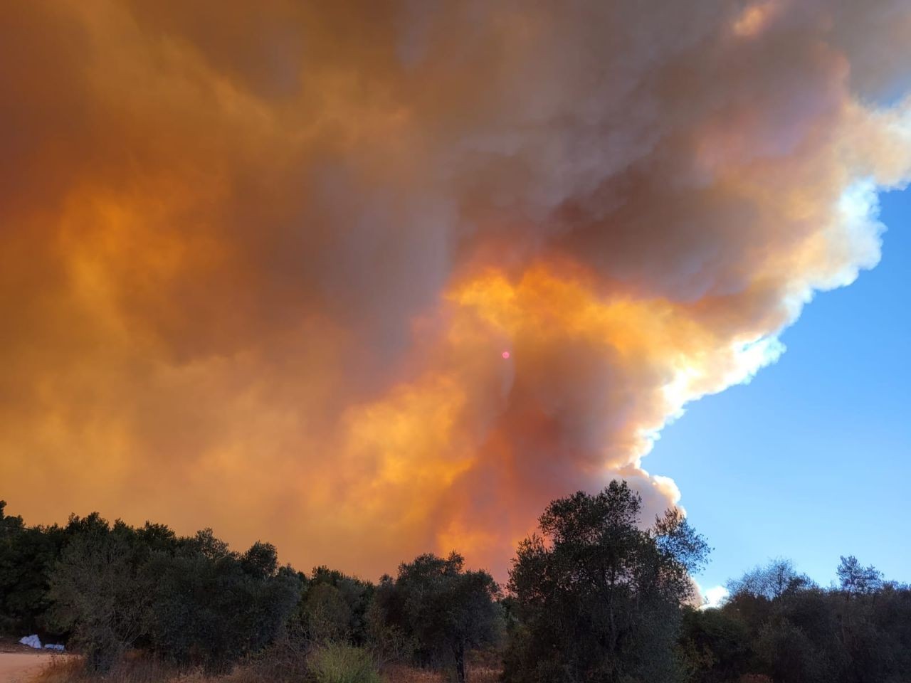 שו"ת: על מה לעשות תשובה והאם לחלל שבת כדי למנוע הצתות?