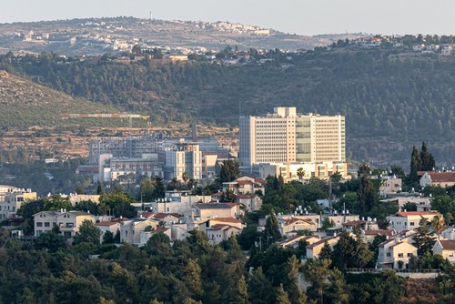 צילום: Shutterstock