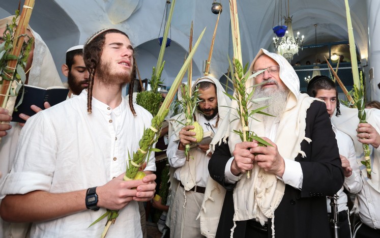 צילום: דוד כהן, פלאש 90