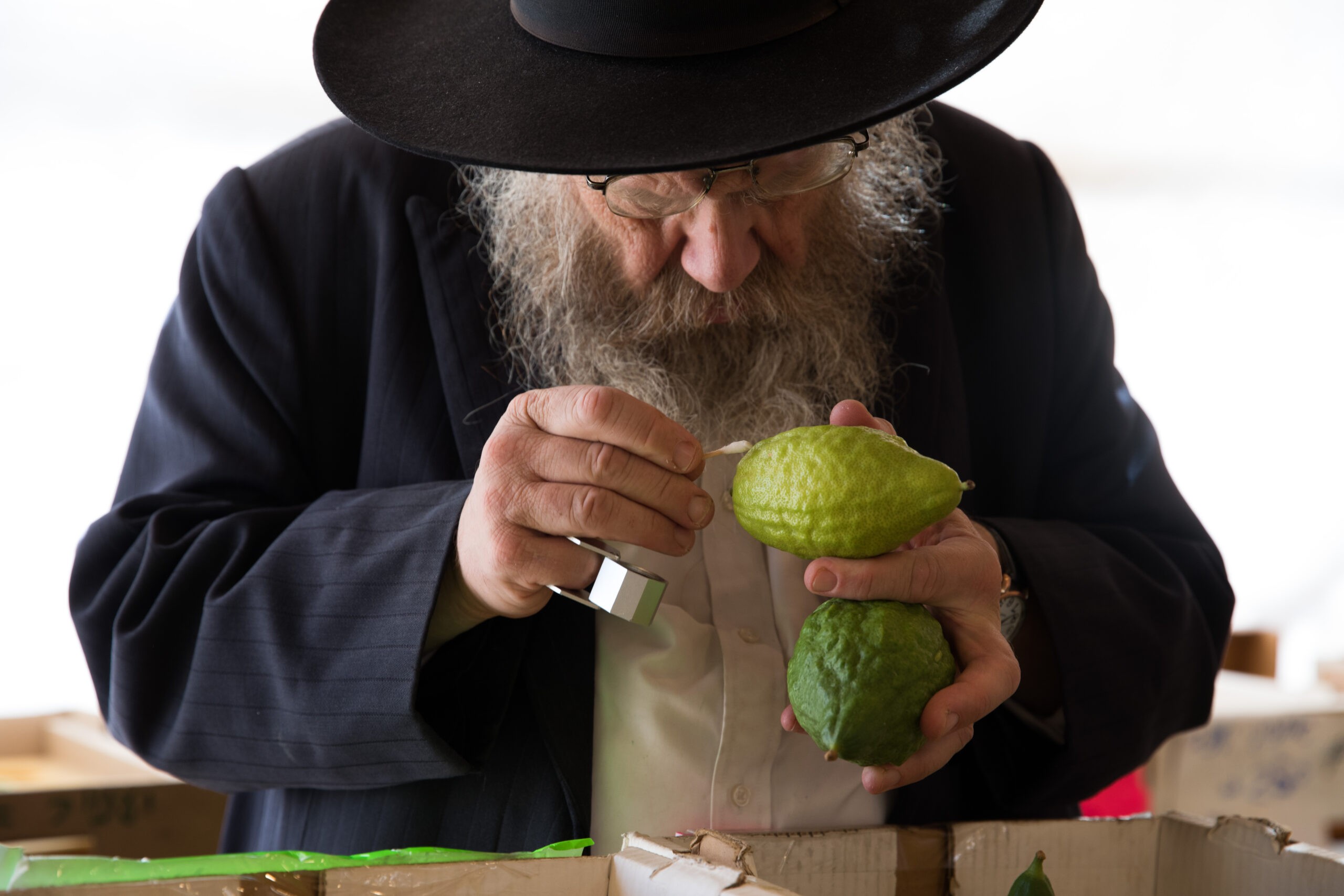 הכשרויות, הצבעים וההיסטוריה: שוק ארבעת המינים יצא לדרך