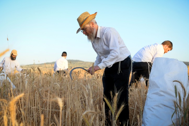 מה מסמלת לנו הספרה שבע ואיך זה קשור לנפש שלנו?