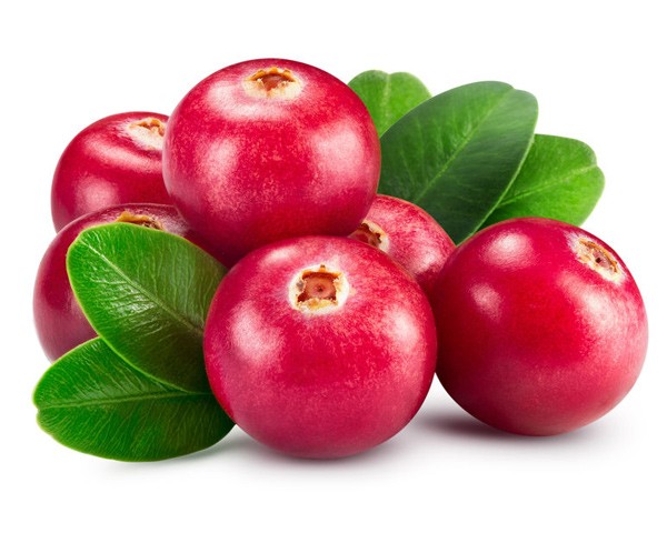 5 דברים שחשוב לדעת על דלקת בדרכי השתן