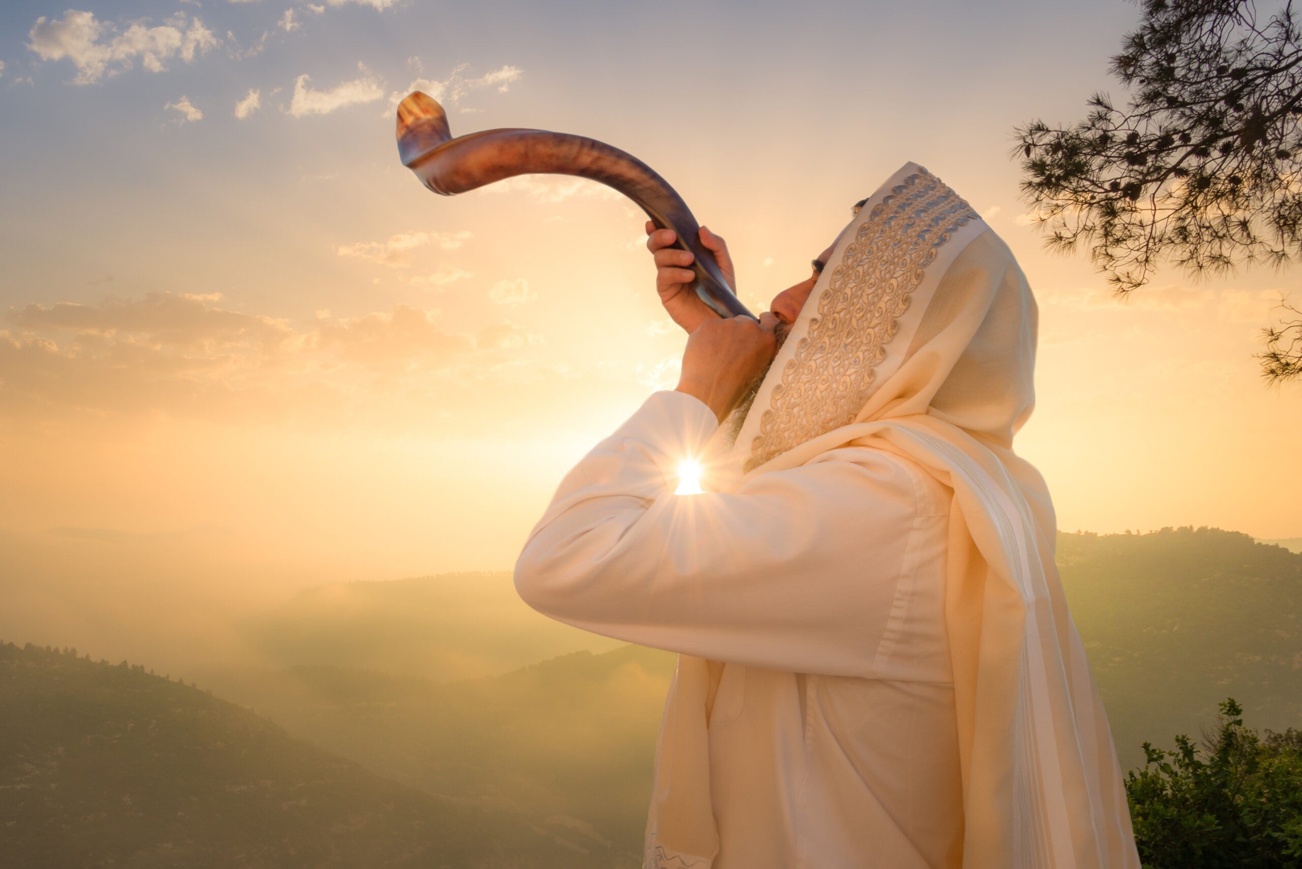  צילום: שאטרסטוק