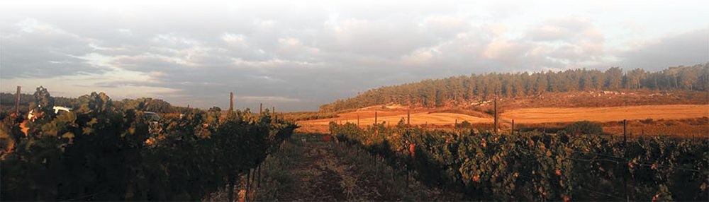 חופשה זוגית טרם אירוע חתונה במלון בצפון
