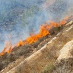 חשד להצתה: שריפה במספר מוקדים סמוך להר גילה