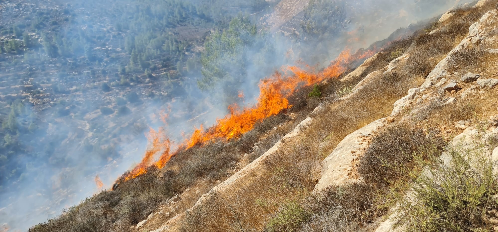 הצתה, צילום: כבאות והצלה