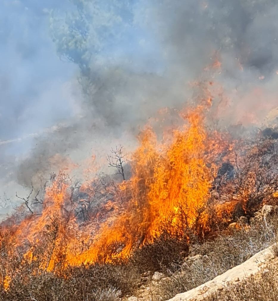 טרור ההצתות ביו"ש: לוחמי האש פעלו בשבת בשלושה מוקדים שונים