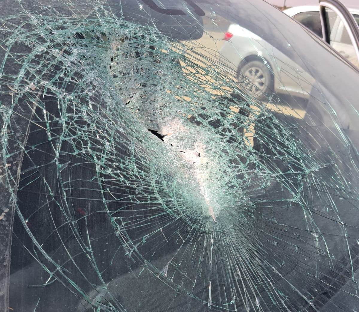 צילום: אם תרצו