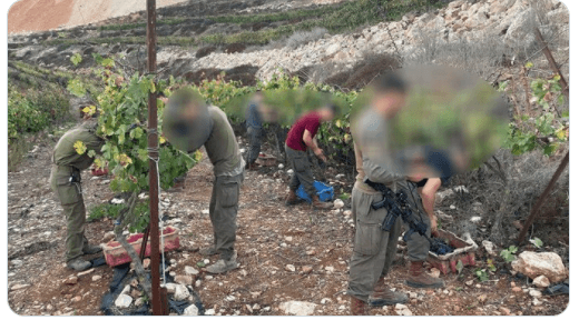 ההגיון של צה"ל: סיוע למילואימניק- אסור, סיוע לערביה-גאווה