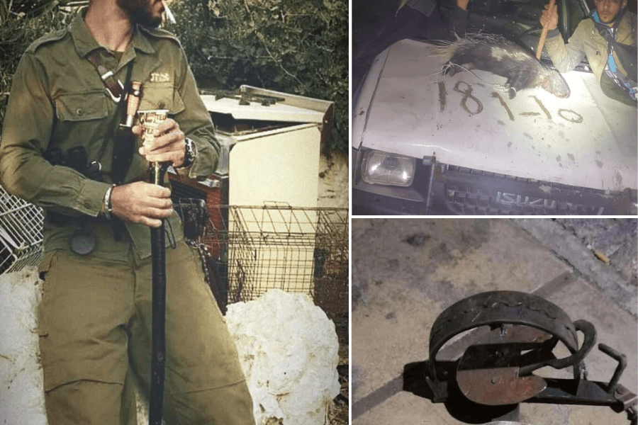 מדי צה''ל, רובים וכלבים: כך פועלות כנופיות ציידים ביו"ש