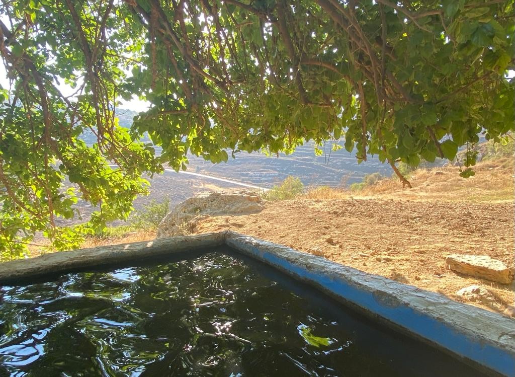 חובה להכיר: שלושת המעיינות המדהימים שנושאים את אותו שם