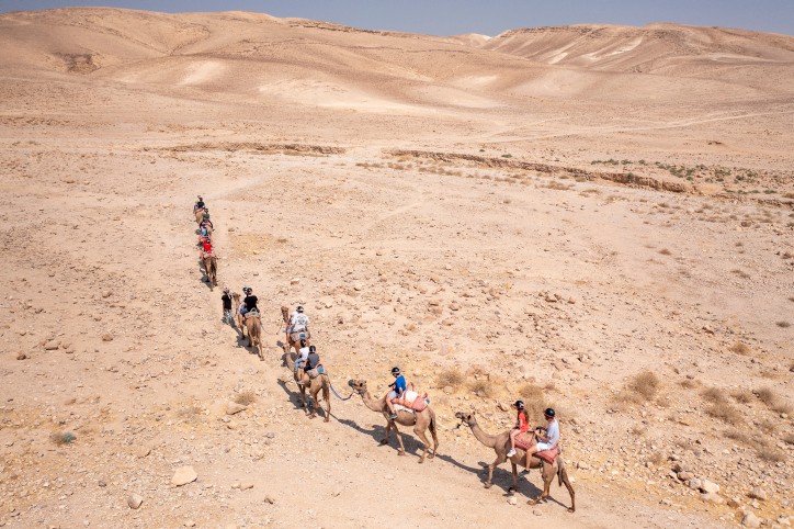 ועדת השרים אישרה: זה החוק שילחם בתופעת הפרוטקשן