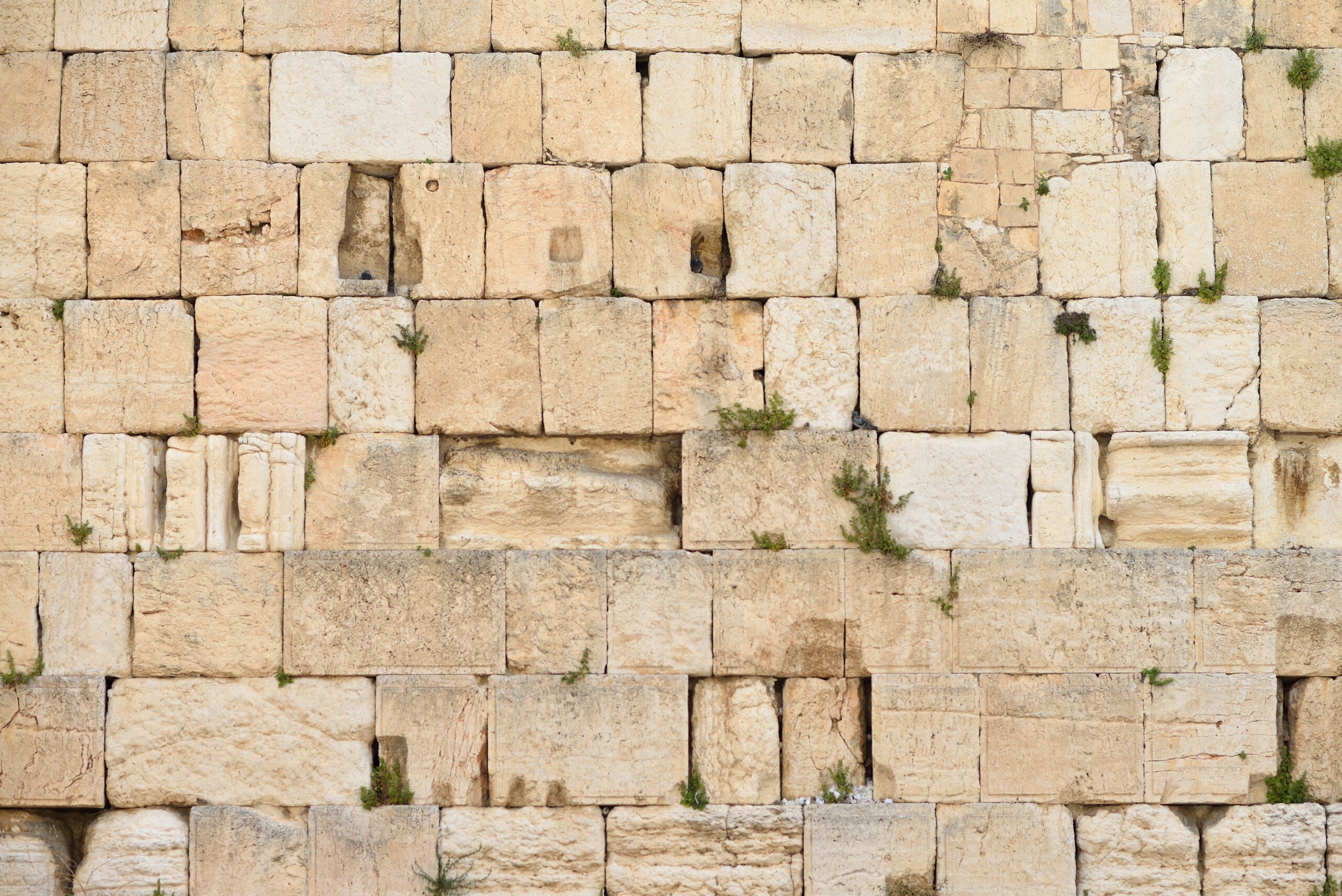מדוע אנו צמים היום? כל מה שצריך לדעת על צום עשרה בטבת