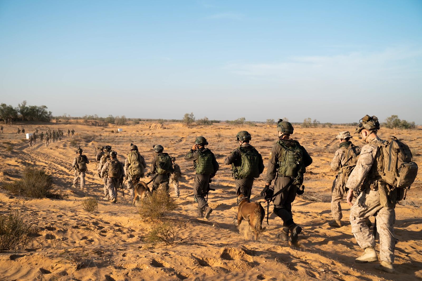 מצ"ח חוקרת: אלפי כדורים נגנבו מבסיס צה''ל בדרום