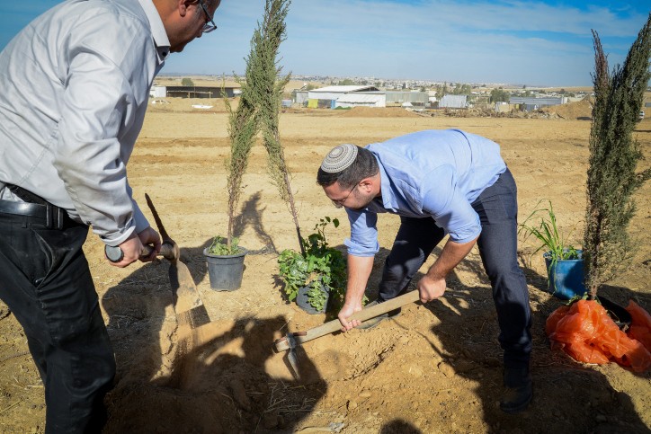 דונמים של שתילי קק"ל נעקרו: "הממשלה קנתה שקט מזוייף"