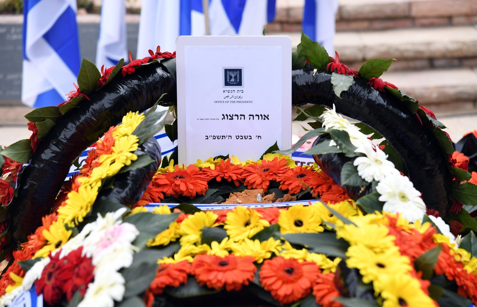 צילום: חיים צח/ לע"מ