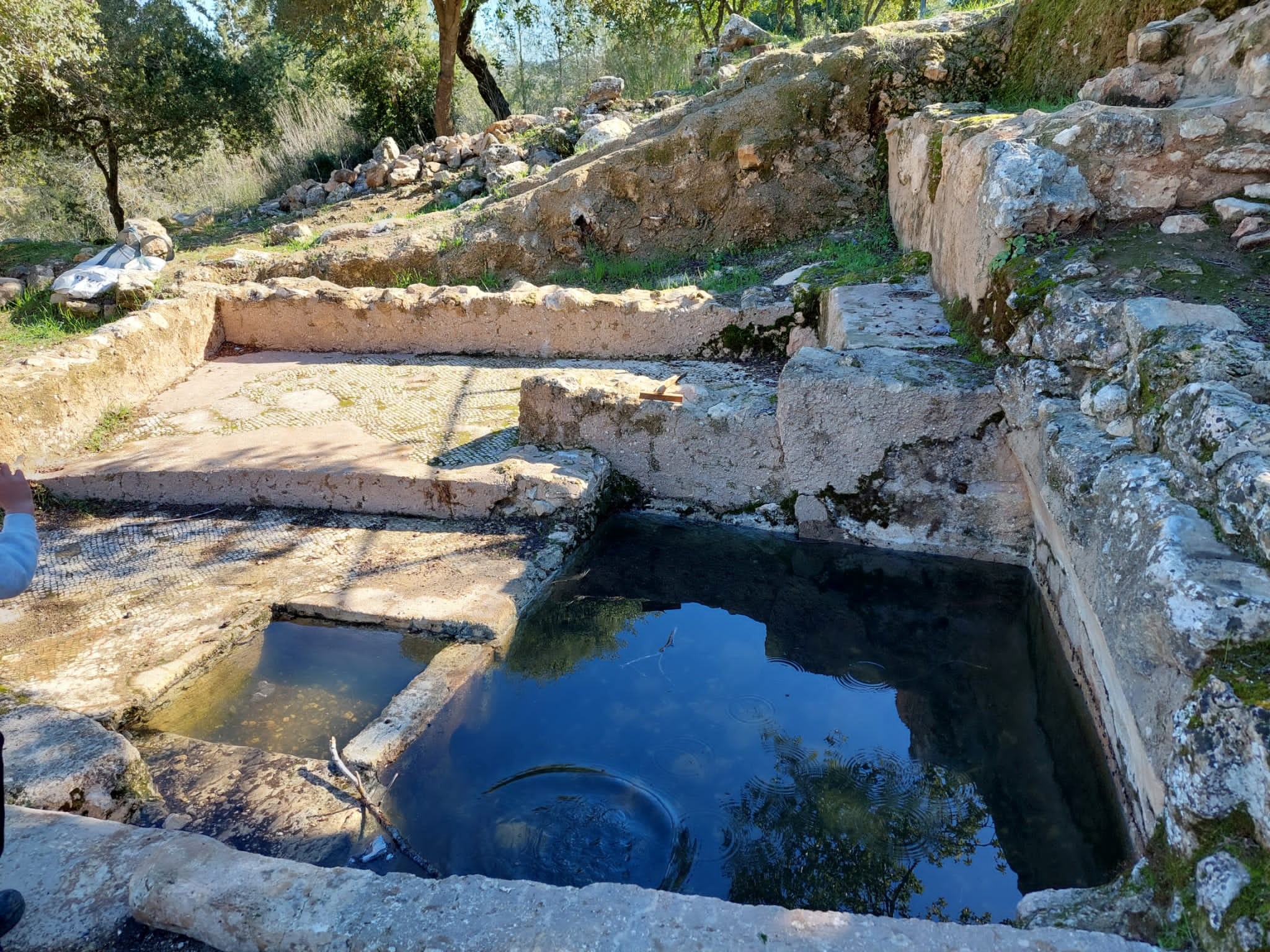 חנות עתיקה, דרך קיסרית ופריחה | המקום שאתם חייבים להכיר