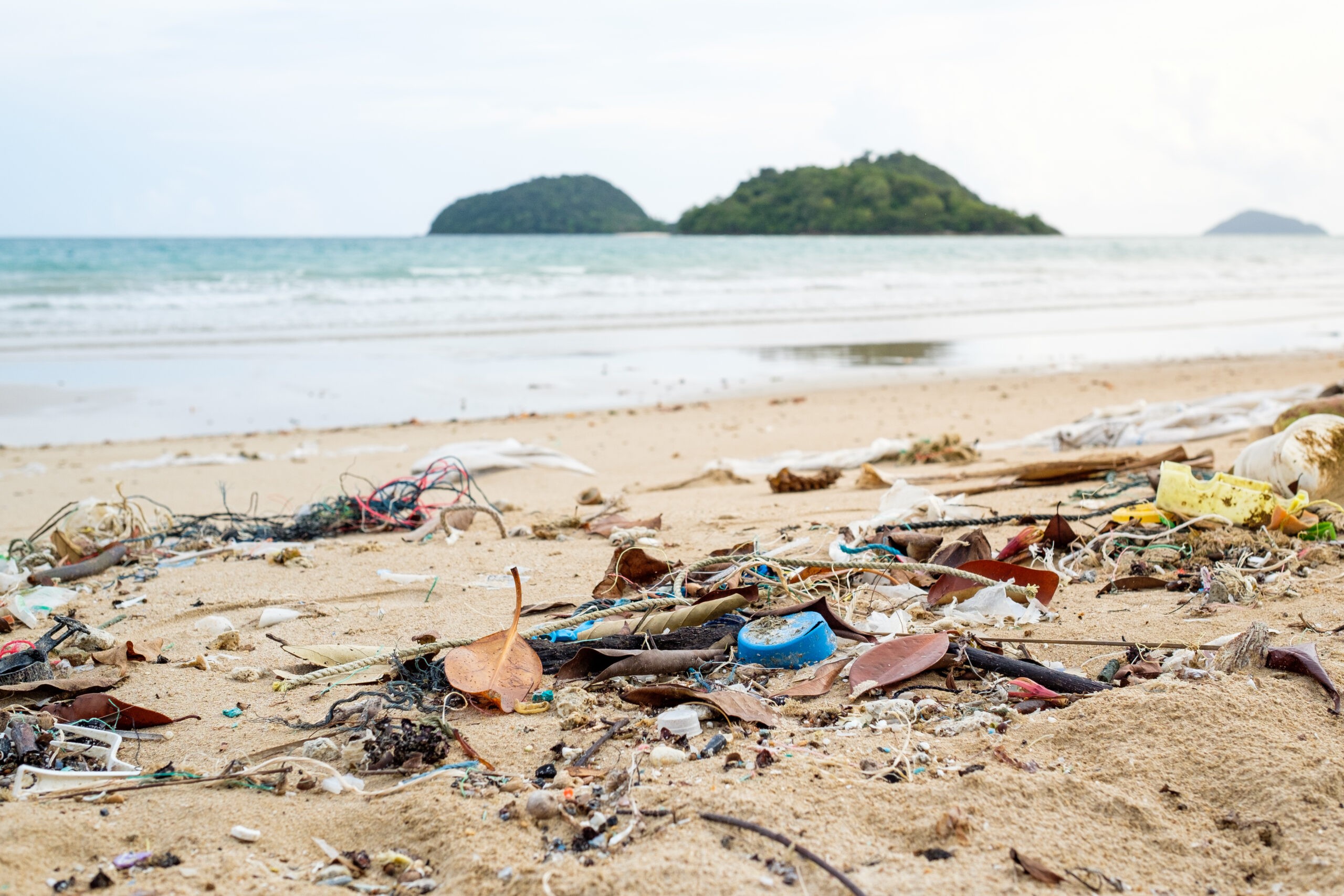 מגמת שיפור: 2021 - השנה הנקייה ביותר בחופי ישראל